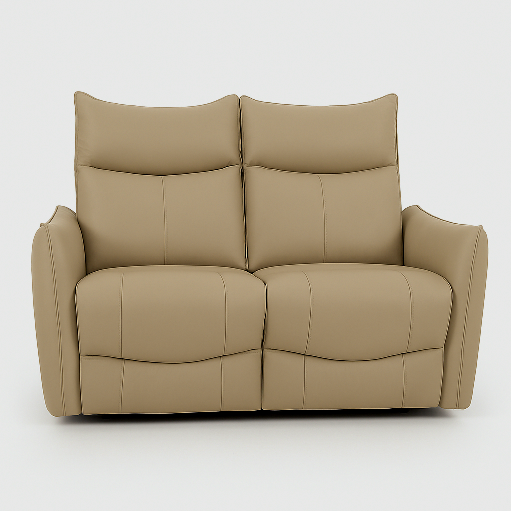 GRACE Power Reclining 2-Seater Sofa/Power Headrest/Lumbar 800