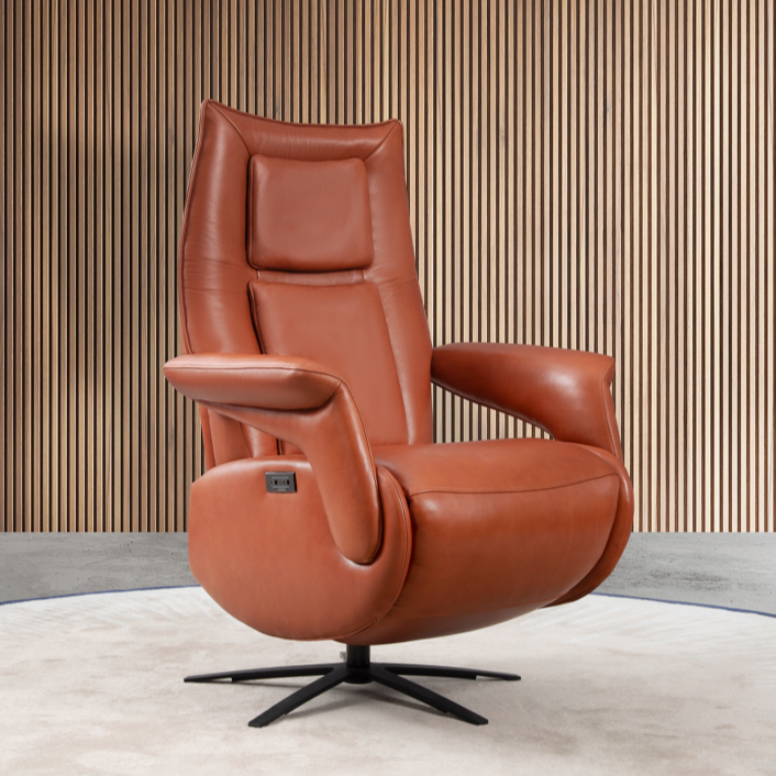 DM-B6005 - TV Recliner Chair (Cognac-Brown Full Leather) - 47458