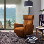 RS-B5030 - TV Chair (Leather Cognac) - 44936